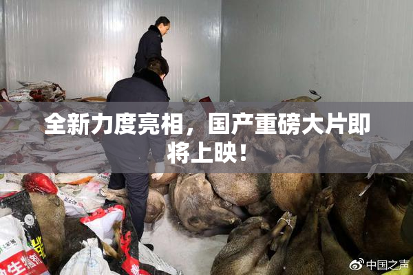 全新力度亮相，国产重磅大片即将上映！