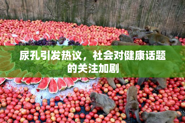 尿孔引发热议，社会对健康话题的关注加剧
