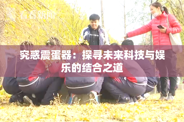 究惑震蛋器：探寻未来科技与娱乐的结合之道