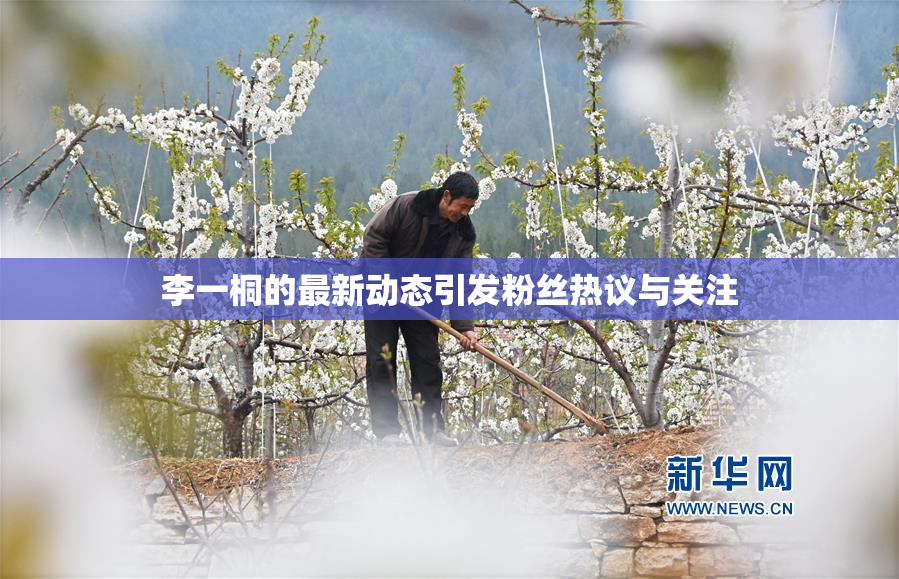李一桐的最新动态引发粉丝热议与关注
