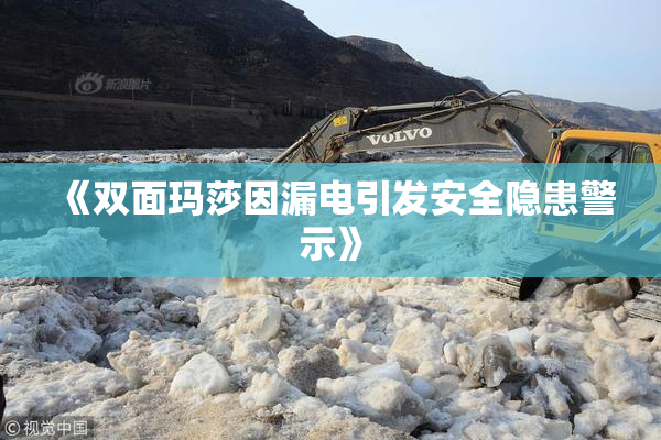 《双面玛莎因漏电引发安全隐患警示》