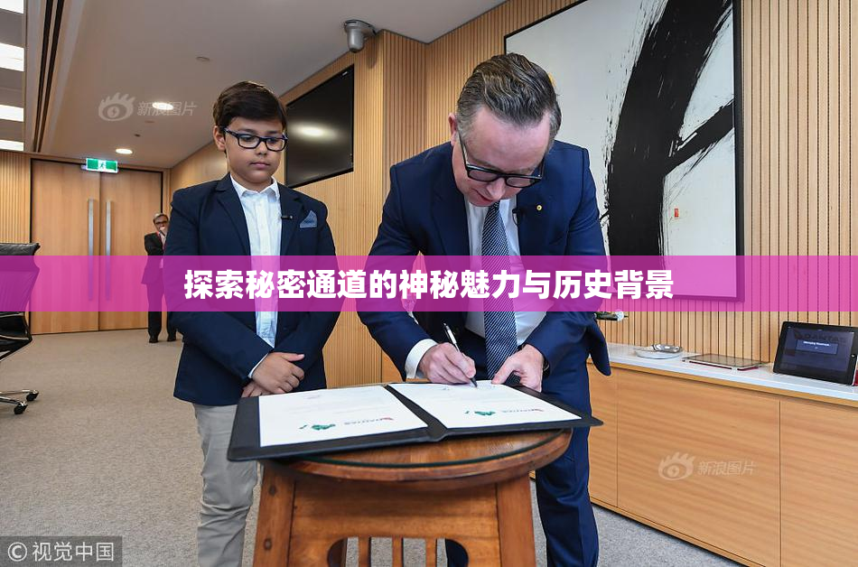 探索秘密通道的神秘魅力与历史背景