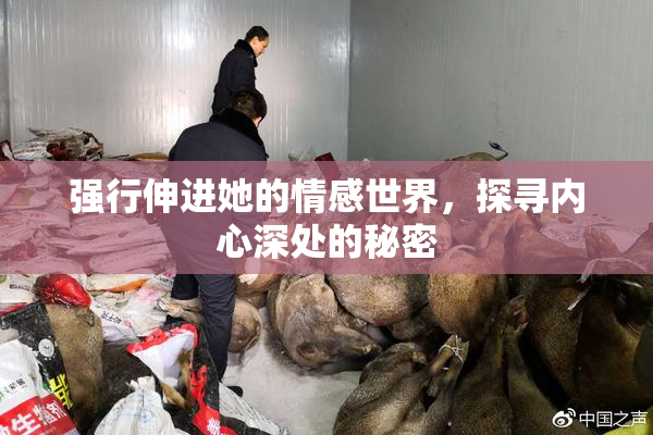 强行伸进她的情感世界，探寻内心深处的秘密