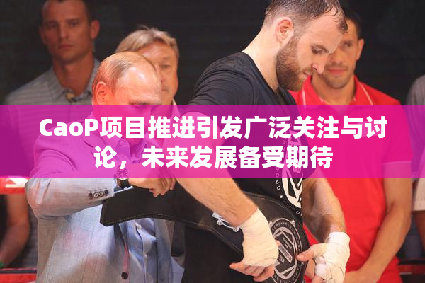 CaoP项目推进引发广泛关注与讨论，未来发展备受期待