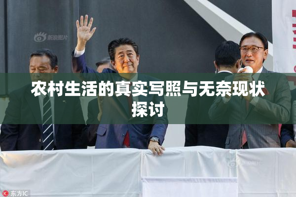 农村生活的真实写照与无奈现状探讨