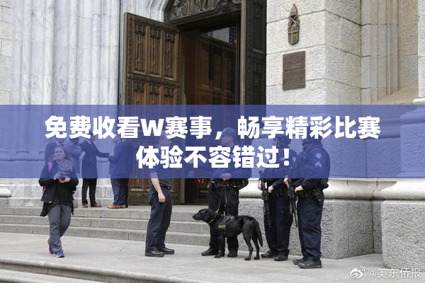 免费收看W赛事，畅享精彩比赛体验不容错过！