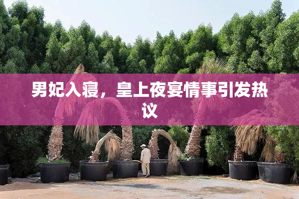 男妃入寝，皇上夜宴情事引发热议
