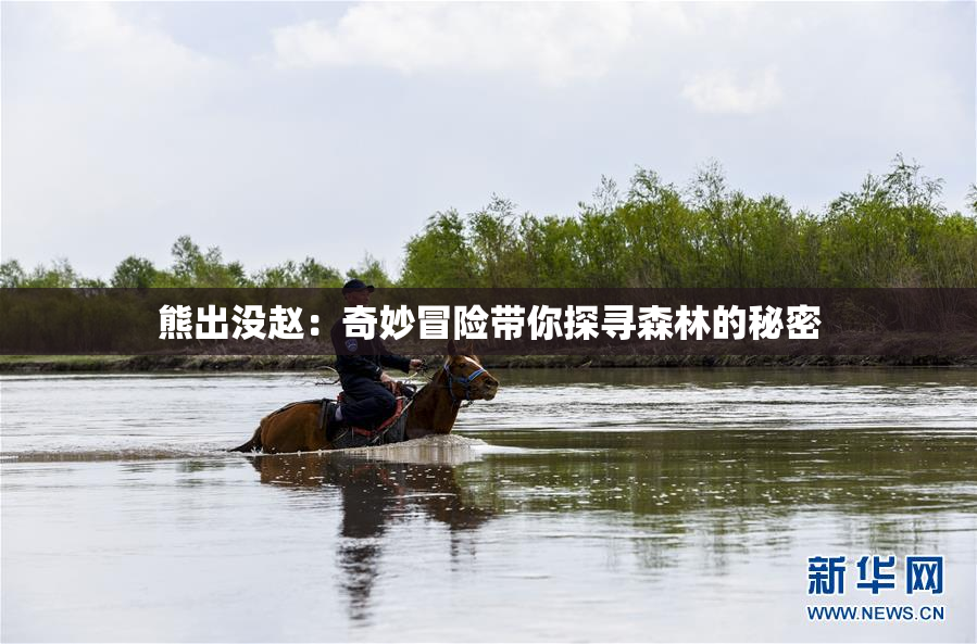 熊出没赵：奇妙冒险带你探寻森林的秘密