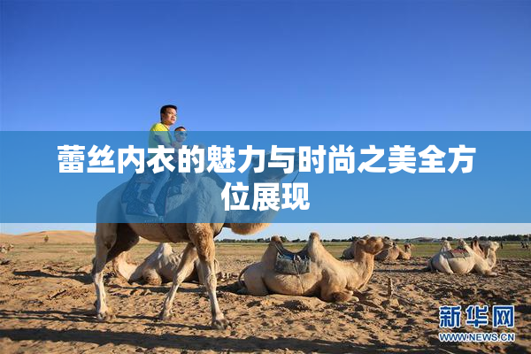 蕾丝内衣的魅力与时尚之美全方位展现