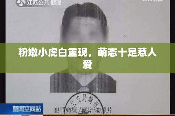 粉嫩小虎白重现，萌态十足惹人爱