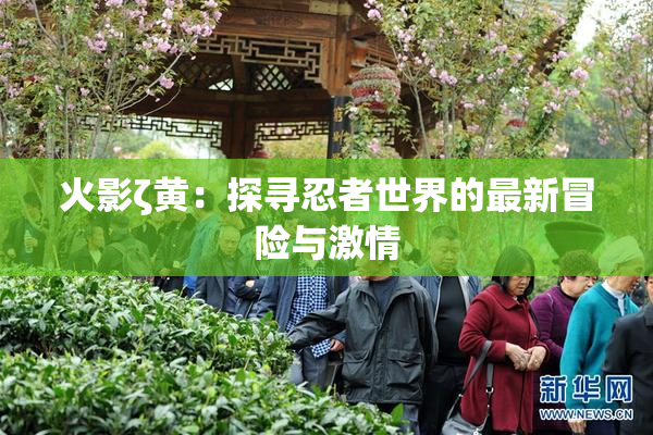 火影ζ黄：探寻忍者世界的最新冒险与激情