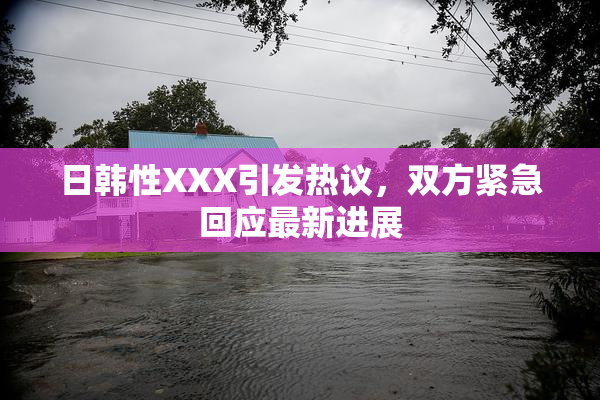 日韩性XXX引发热议，双方紧急回应最新进展