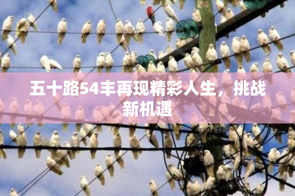 五十路54丰再现精彩人生，挑战新机遇