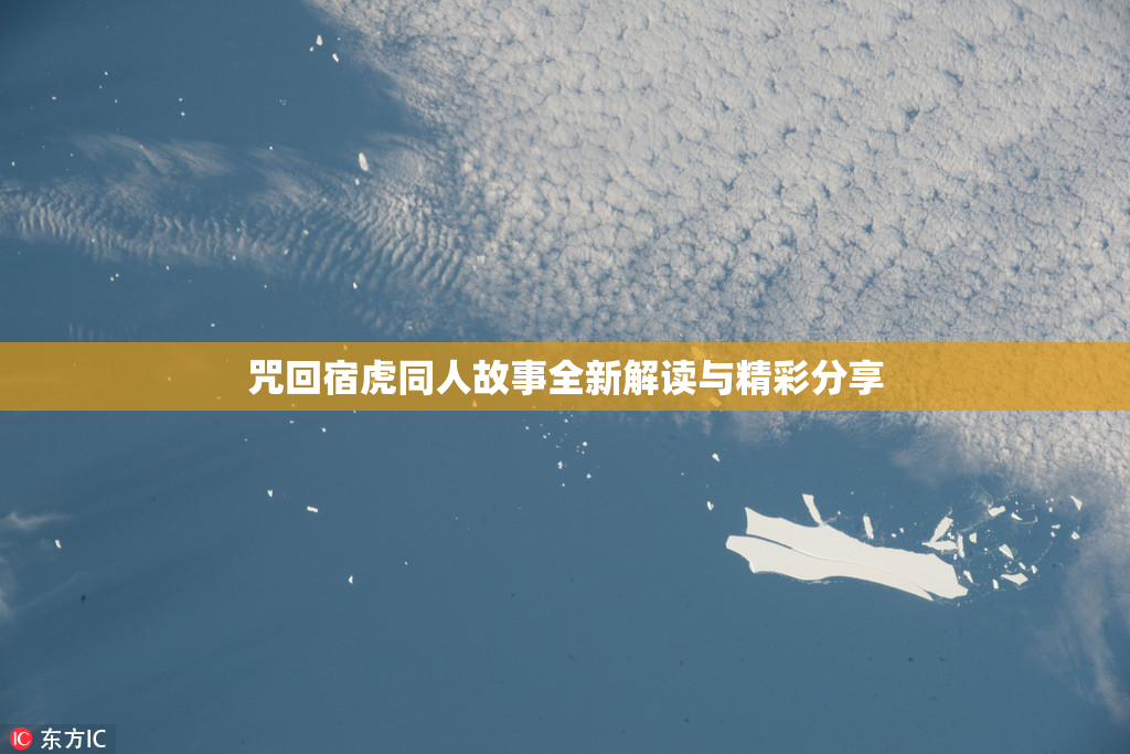 咒回宿虎同人故事全新解读与精彩分享