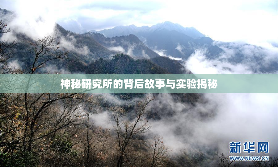 神秘研究所的背后故事与实验揭秘