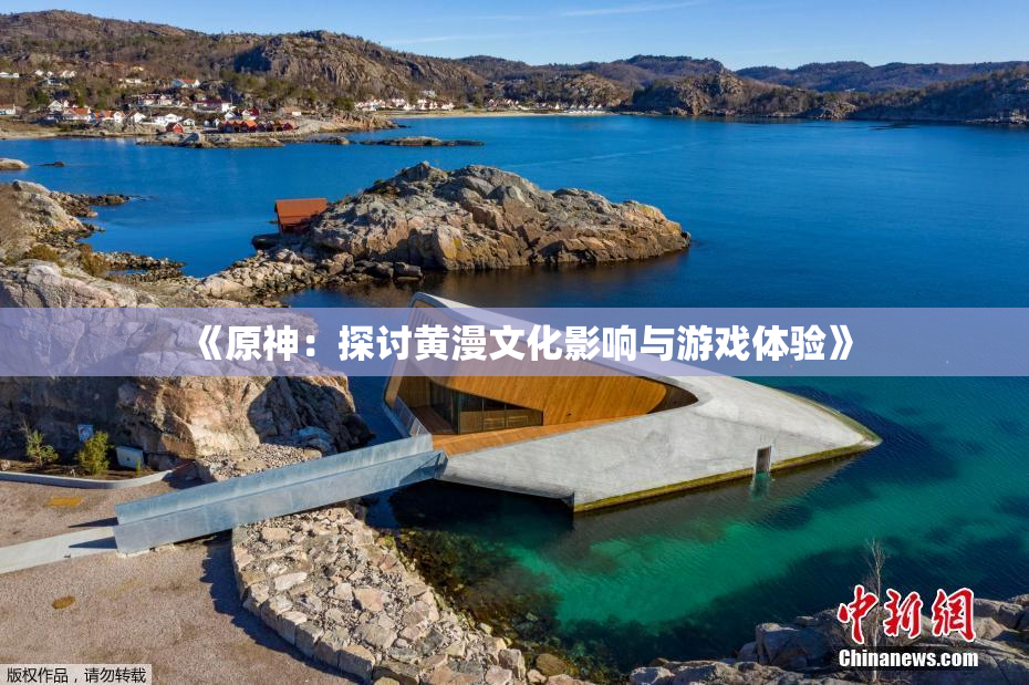 《原神：探讨黄漫文化影响与游戏体验》
