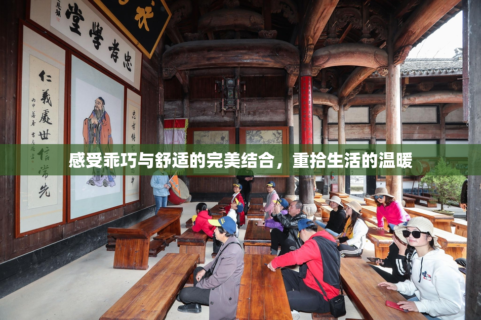 感受乖巧与舒适的完美结合，重拾生活的温暖