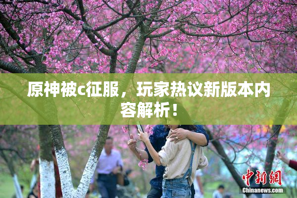 原神被c征服，玩家热议新版本内容解析！