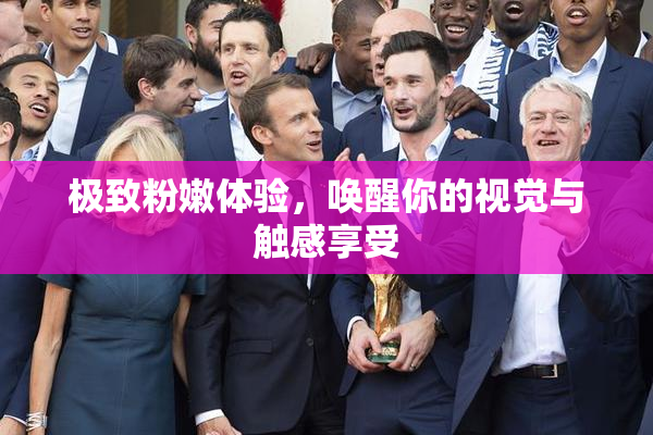 极致粉嫩体验，唤醒你的视觉与触感享受