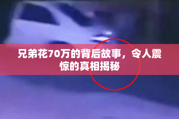 兄弟花70万的背后故事，令人震惊的真相揭秘