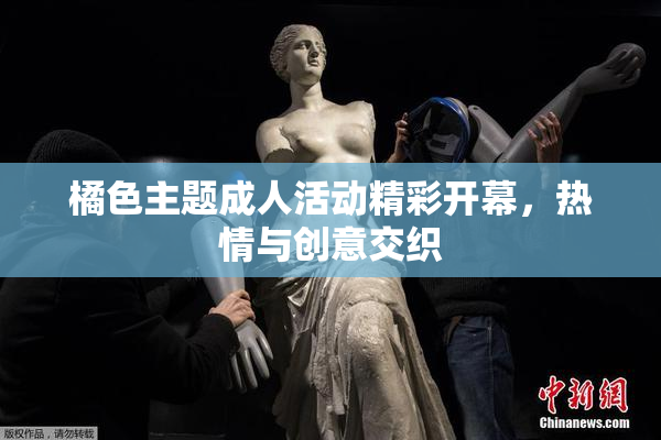 橘色主题成人活动精彩开幕，热情与创意交织