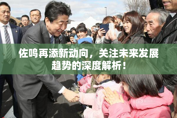 佐鸣再添新动向，关注未来发展趋势的深度解析！