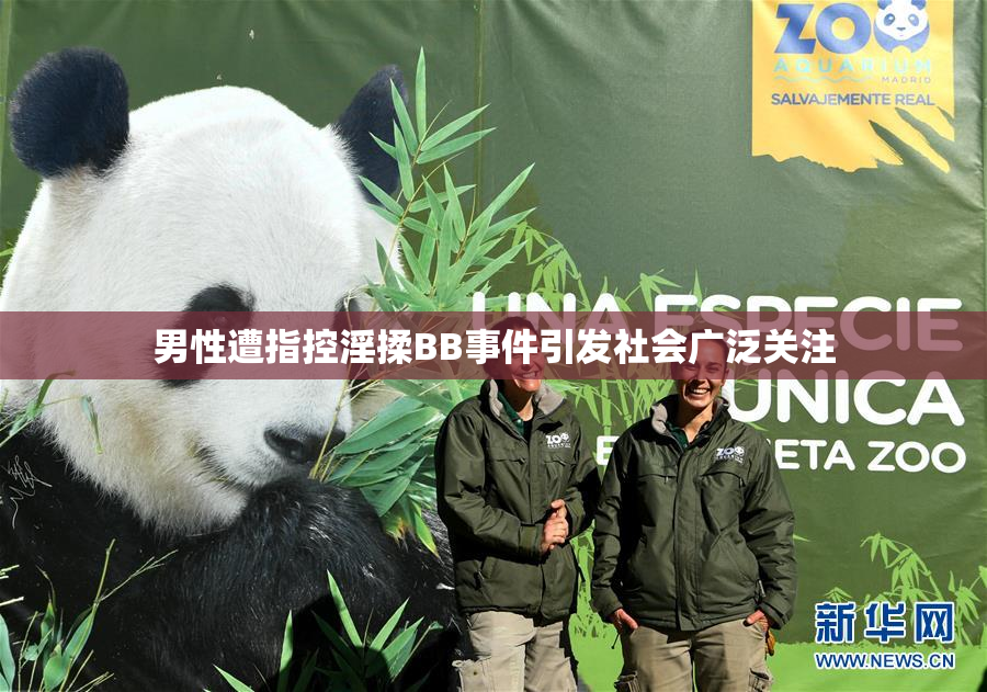 男性遭指控淫揉BB事件引发社会广泛关注