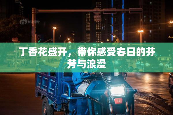 丁香花盛开，带你感受春日的芬芳与浪漫