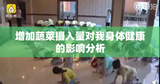 增加蔬菜摄入量对我身体健康的影响分析
