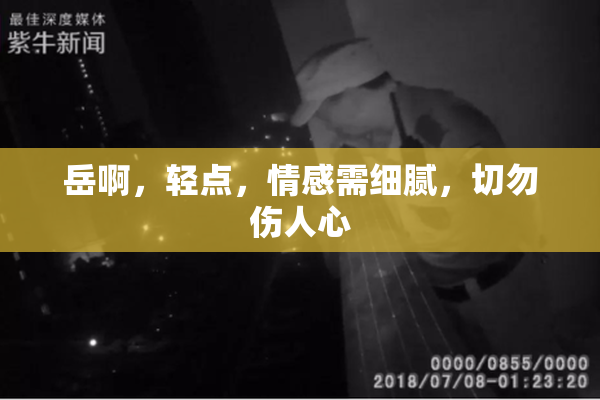 岳啊，轻点，情感需细腻，切勿伤人心