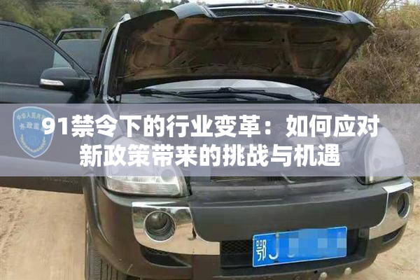 91禁令下的行业变革：如何应对新政策带来的挑战与机遇