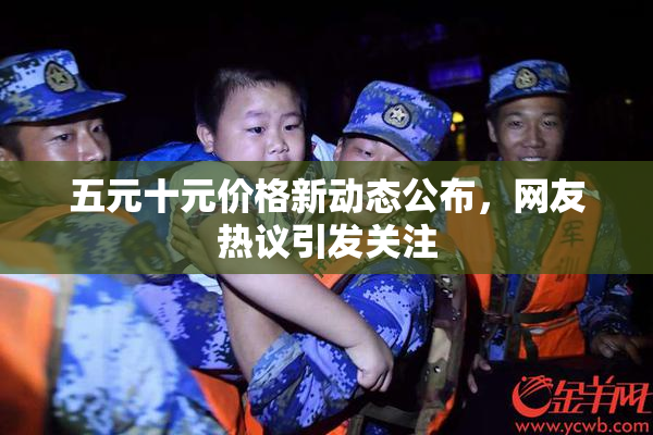 五元十元价格新动态公布，网友热议引发关注