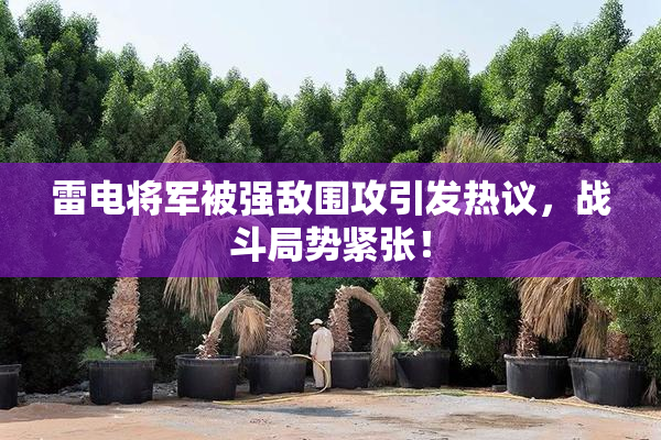 雷电将军被强敌围攻引发热议，战斗局势紧张！