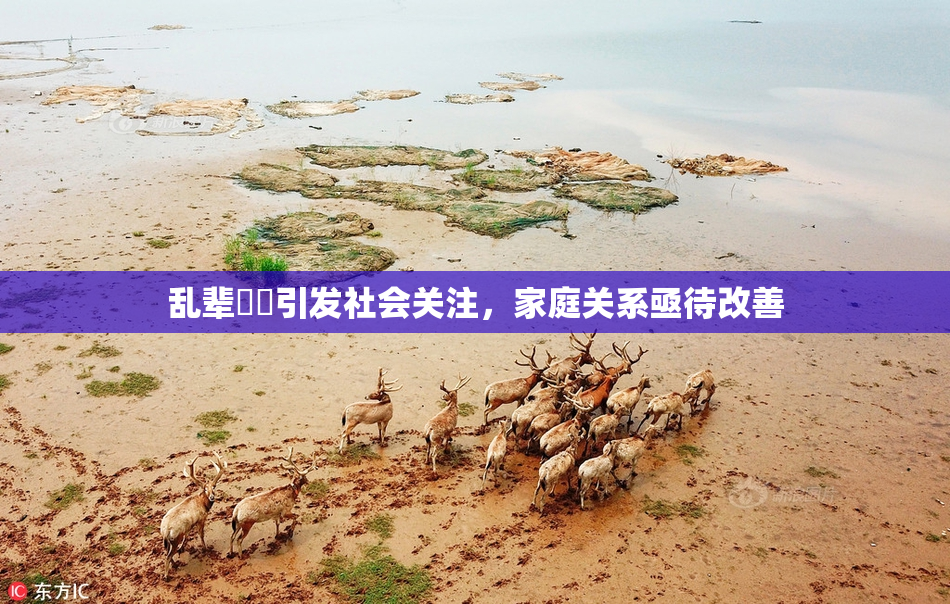 乱辈亂倫引发社会关注，家庭关系亟待改善