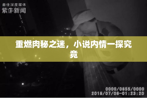 重燃肉秘之迷，小说内情一探究竟