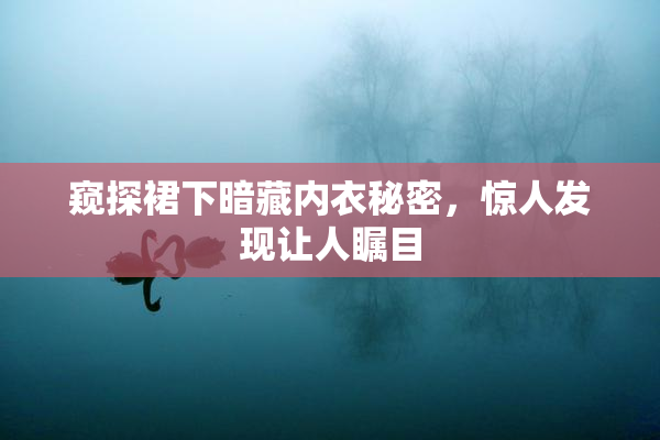 窥探裙下暗藏内衣秘密，惊人发现让人瞩目