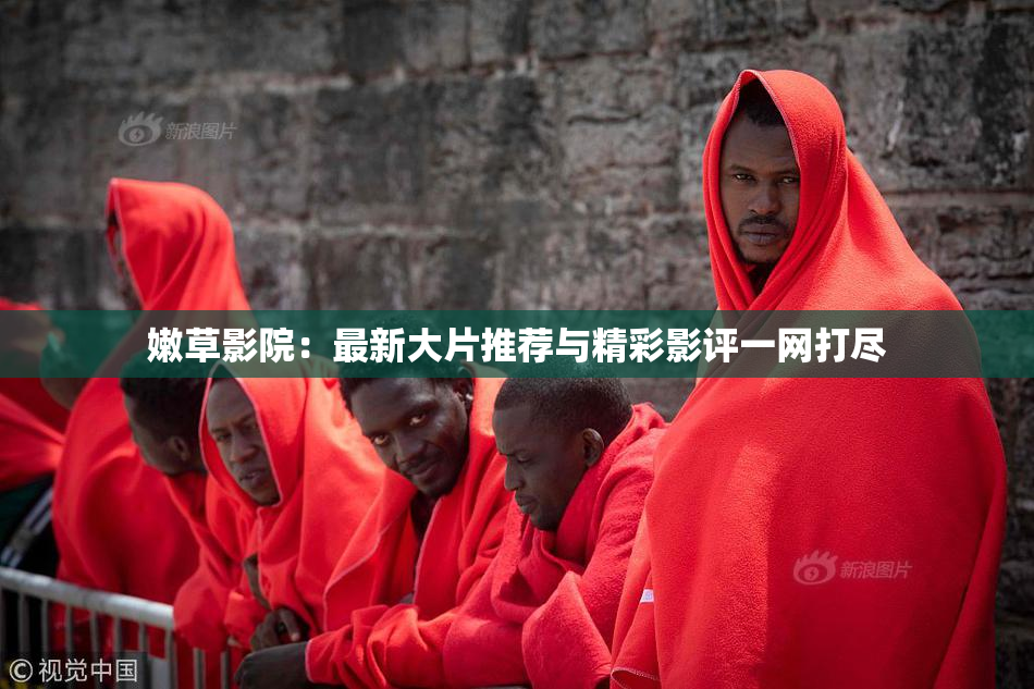 嫩草影院：最新大片推荐与精彩影评一网打尽