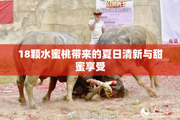 18颗水蜜桃带来的夏日清新与甜蜜享受