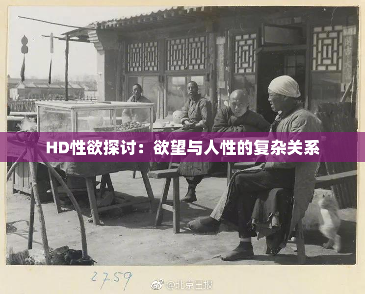 HD性欲探讨：欲望与人性的复杂关系