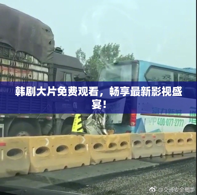 韩剧大片免费观看，畅享最新影视盛宴！
