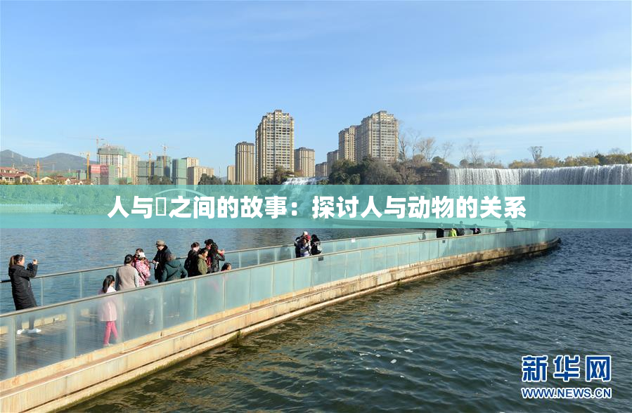 人与嘼之间的故事：探讨人与动物的关系