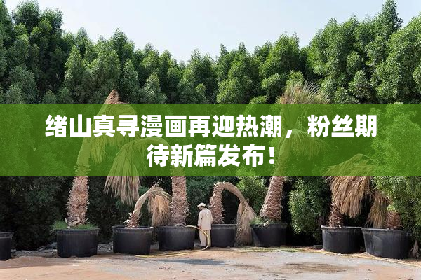 绪山真寻漫画再迎热潮，粉丝期待新篇发布！