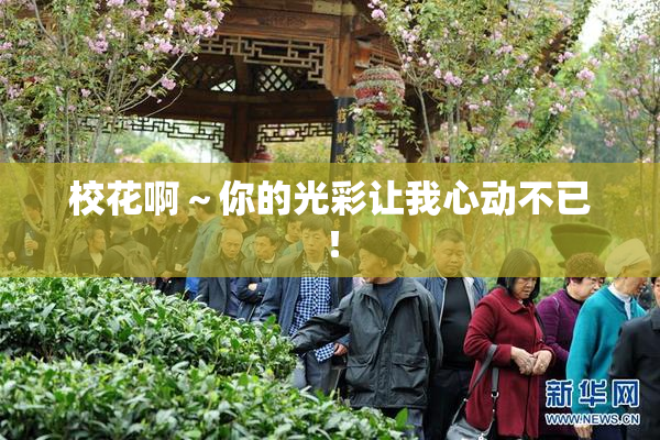 校花啊～你的光彩让我心动不已！
