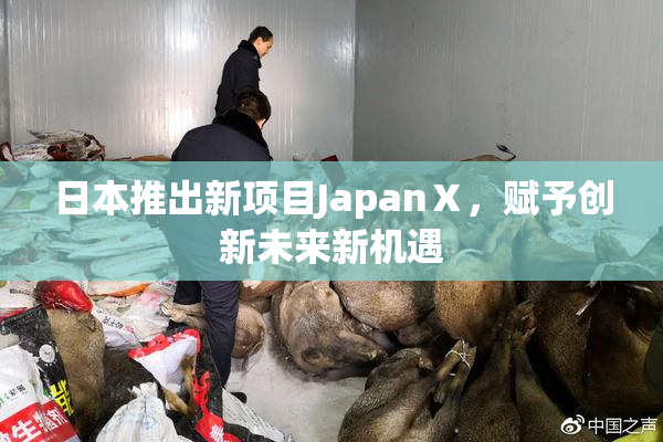 日本推出新项目JapanⅩ，赋予创新未来新机遇