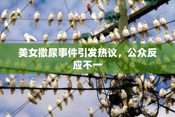 美女撒尿事件引发热议，公众反应不一