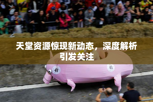 天堂资源惊现新动态，深度解析引发关注