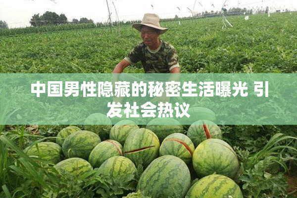 中国男性隐藏的秘密生活曝光 引发社会热议