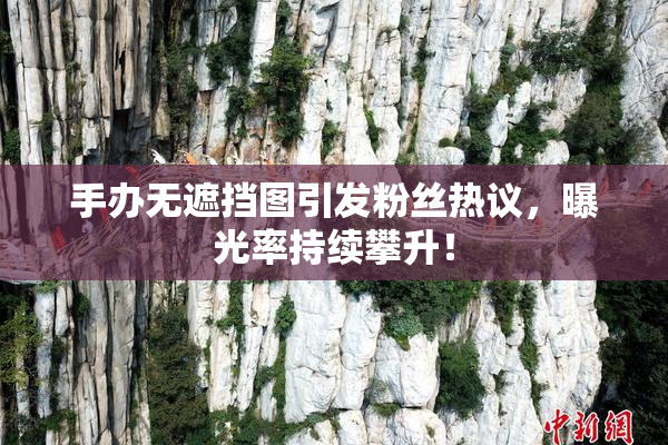 手办无遮挡图引发粉丝热议，曝光率持续攀升！