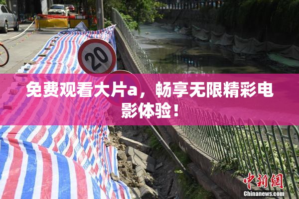 免费观看大片a，畅享无限精彩电影体验！