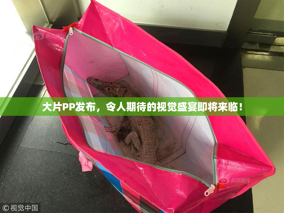 大片PP发布，令人期待的视觉盛宴即将来临！